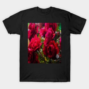 Red roses - Flowers T-Shirt